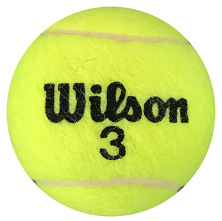 Chanda Rubin Autographed Wilson 3 Tennis Ball