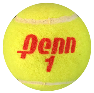 Tara Snyder Autographed Penn 1 Tennis Ball