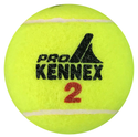 Taylor Dent Autographed Pro Kennex 2 Tennis Ball