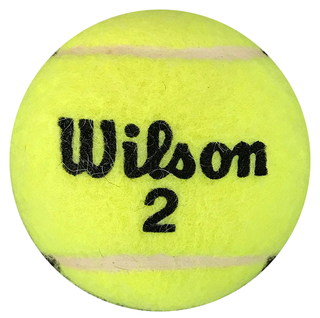 Todd Martin Autographed Wilson 2 Tennis Ball