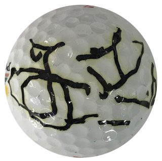 Jesper Parnevik Autographed Titleist 2 Golf Ball