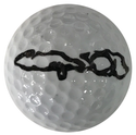 Gary Sheffield Autographed Pinnacle 1 Golf Ball (Baseball Player)