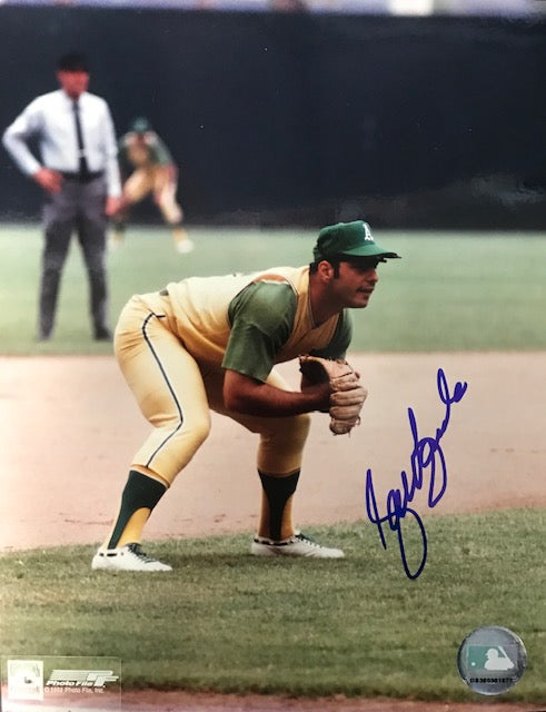 Sal Bando Autographed 8x10 Baseball Photo