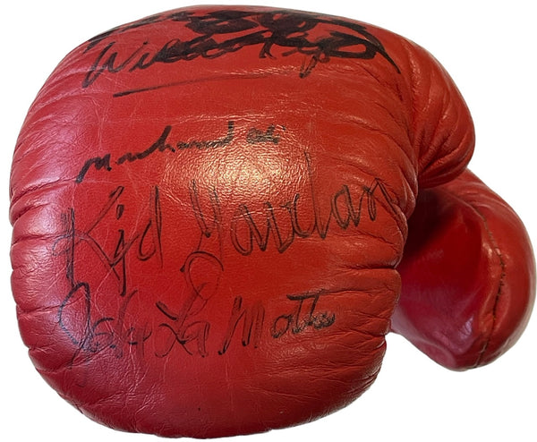 Boxing Hall of Fame Autographed Everlast Boxing Glove (PSA)
