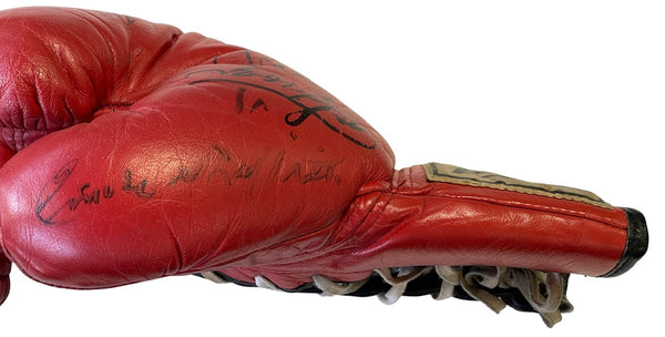 Boxing Hall of Fame Autographed Everlast Boxing Glove (PSA)