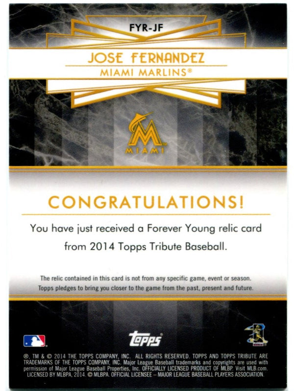 Jose Fernandez Autographed MLB Baseball - Miami Marlins - JSA