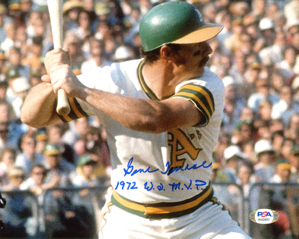 Gene Tenece "1972 WS MVP" Autographed 8x10 Photo (PSA)