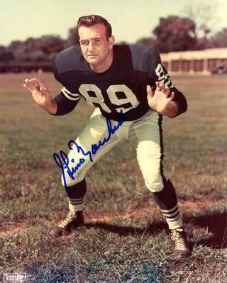 Gino Marchetti Autographed 8x10 Photo