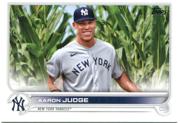 aaron judge field of dreams jersey