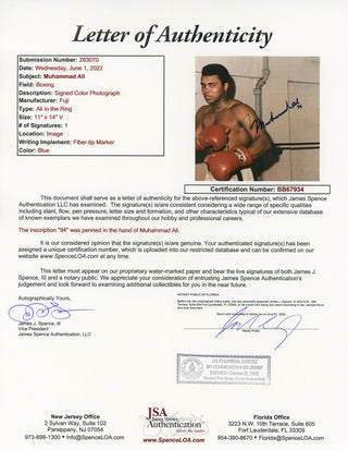 Muhammad Ali Autographed Framed 11x14 Photo (JSA)