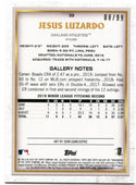 Jesus Luzardo Topps Gallery Rookie 2020 08/99