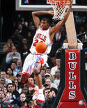 Tyrus Thomas Autographed Chicago Bulls Reverse Dunk 16x20 Photo