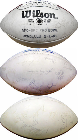 1981 Pro Bowl Autographed White Panel Football